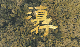 相关图片
