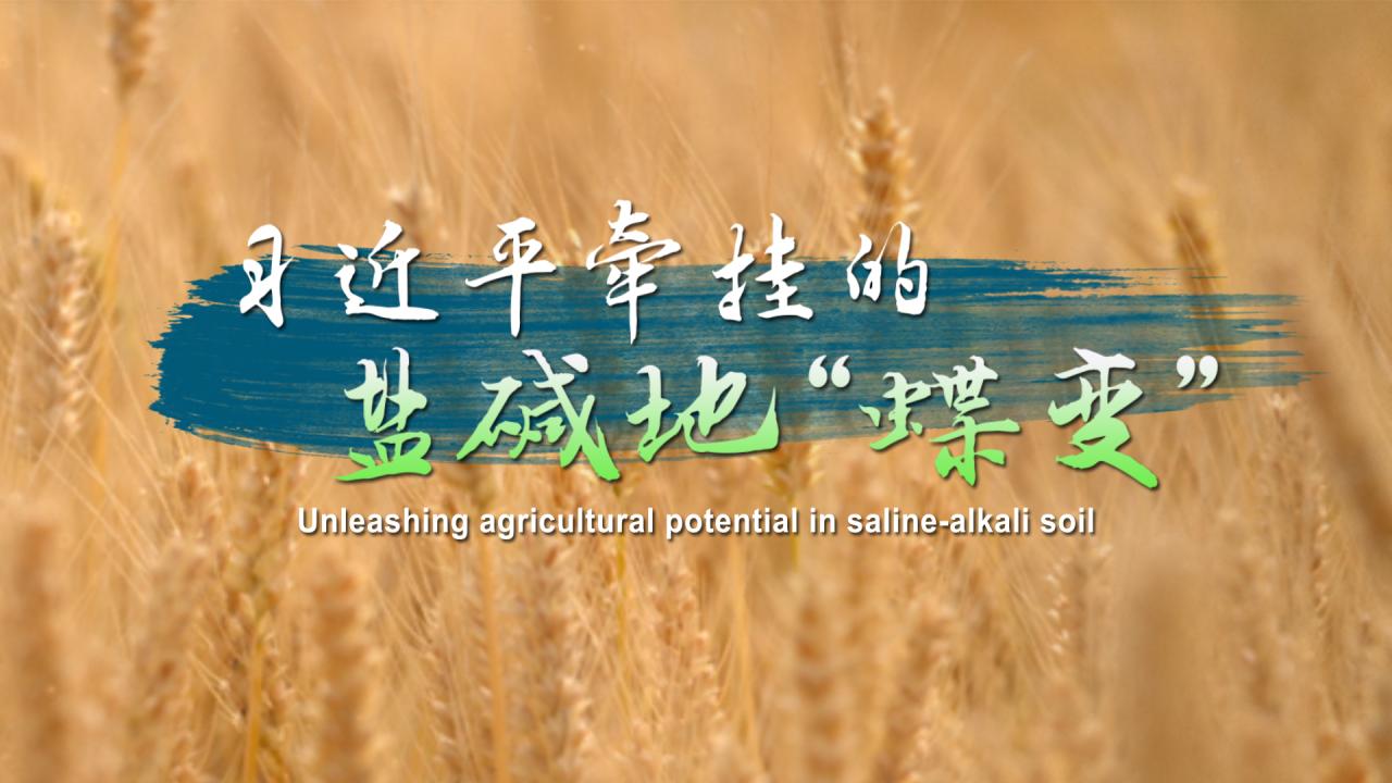 相关图片