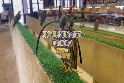 相关图片