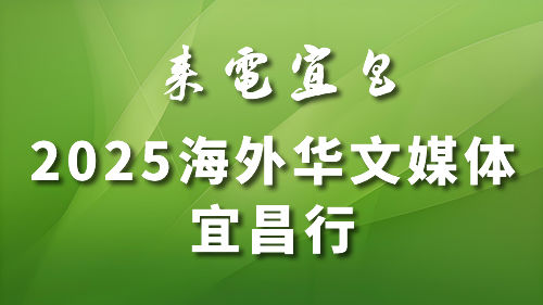 相关图片