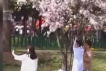 相关图片