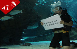 相关图片