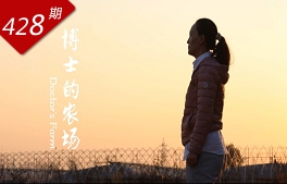 相关图片